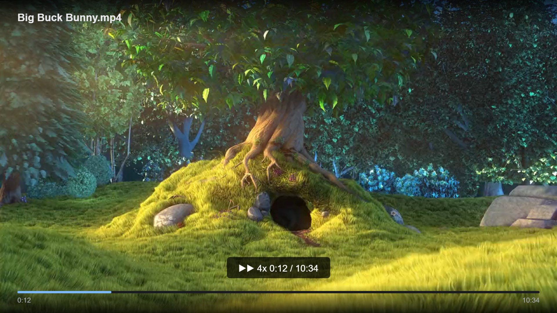 Playing a video